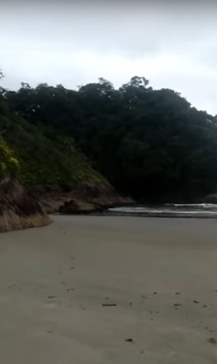 Xuxu mostrando a praia do arpoador