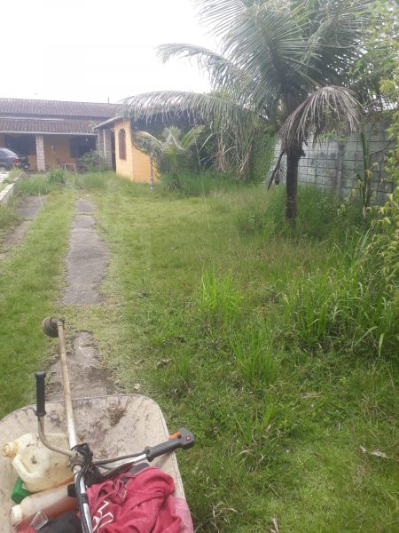 Limpeza de Terrenos Antes